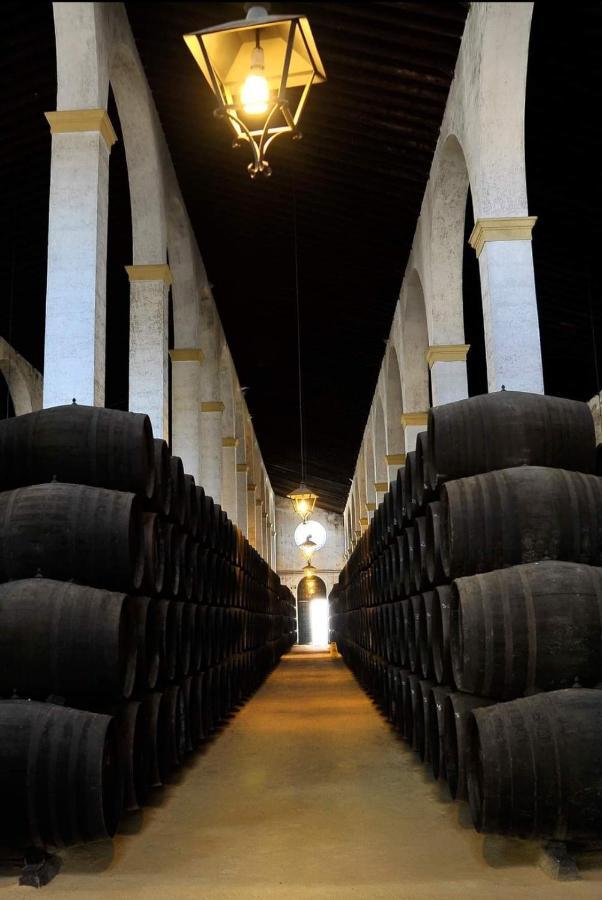 Sherryflat Casa Del Arquitecto Jerez de la Frontera Luaran gambar